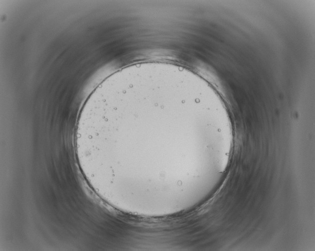 X0000083991338200703161613