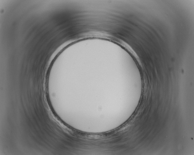 X0000083991339200703161613