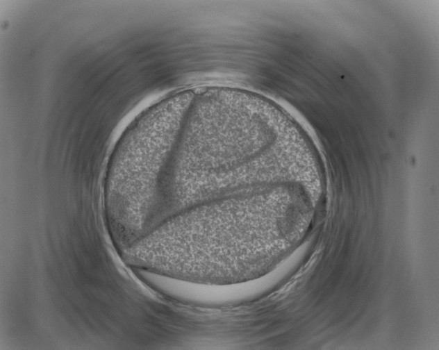 X0000083991341200703161613