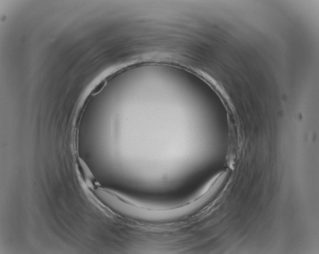 X0000083991342200703161613