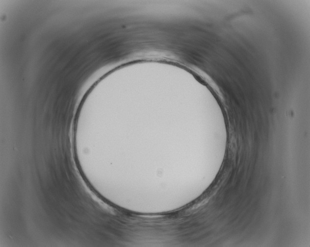 X0000083991343200703161613