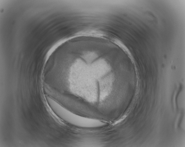 X0000083991344200703161613