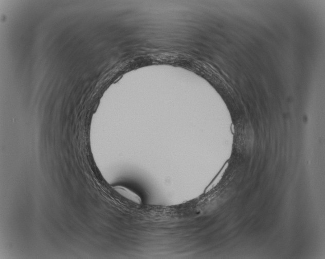 X0000083991345200703161612