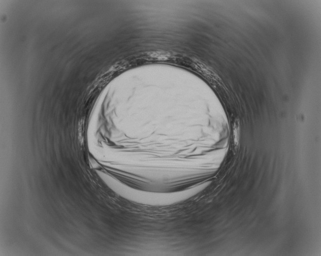 X0000083991347200703161612