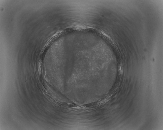 X0000083991348200703161612