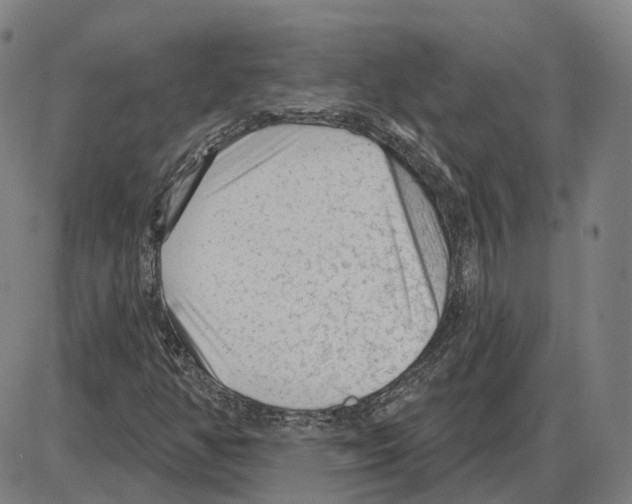 X0000083991350200703161612