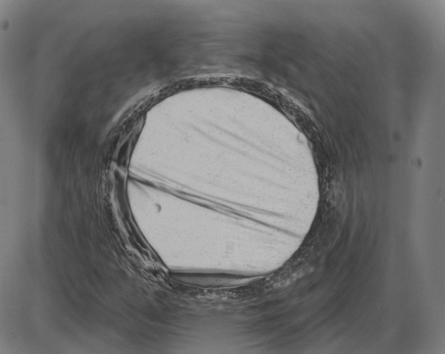 X0000083991351200703161612