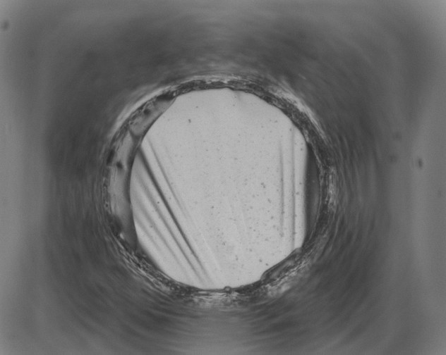 X0000083991352200703161612