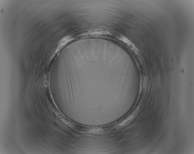 X0000083991353200703161612