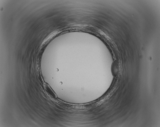 X0000083991354200703161612