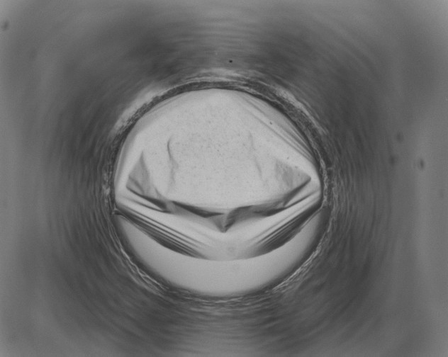 X0000083991355200703161612