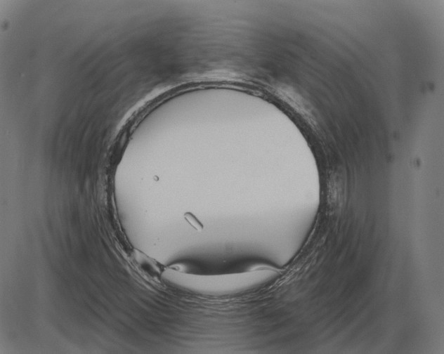 X0000083991356200703161612