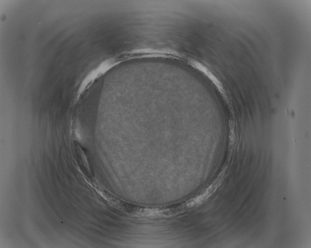 X0000083991357200703161612