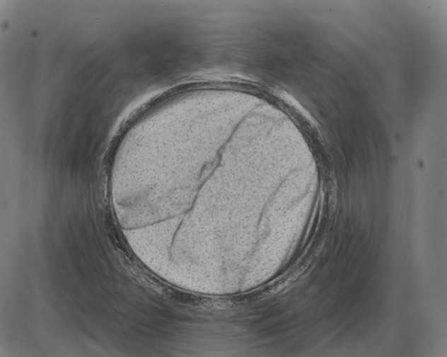 X0000083991358200703161612