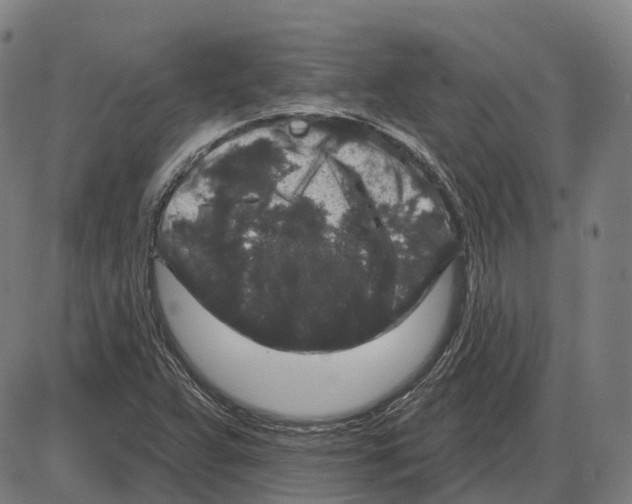 X0000083991359200703161612