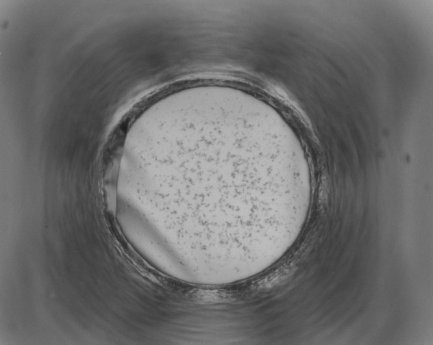 X0000083991360200703161612