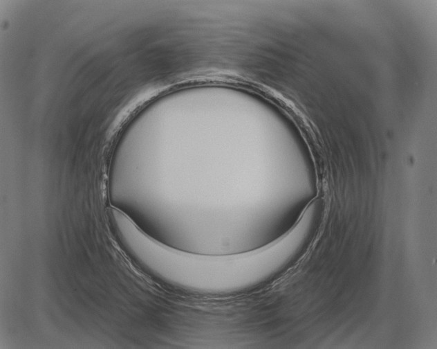 X0000083991363200703161612