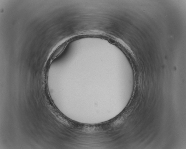 X0000083991364200703161612