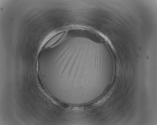 X0000083991365200703161612