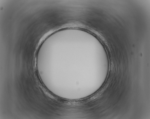 X0000083991366200703161612