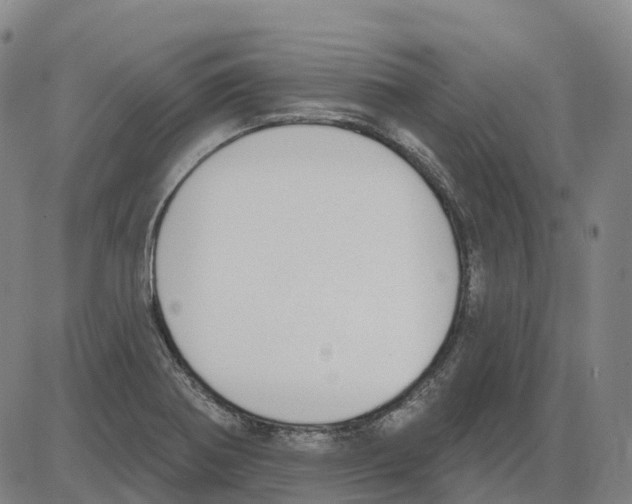 X0000083991370200703161612