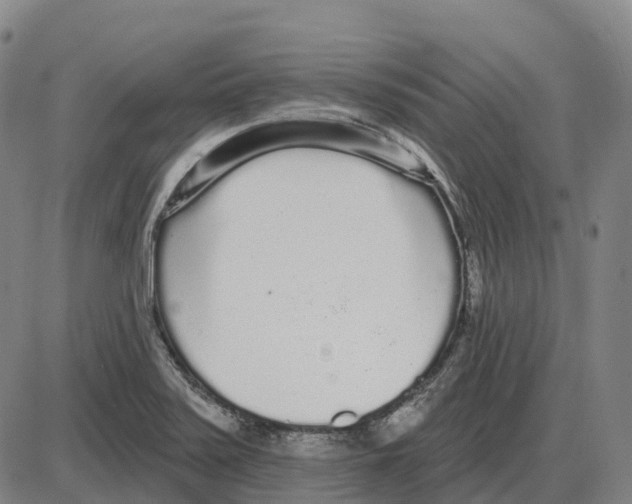 X0000083991371200703161612