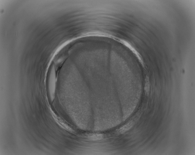 X0000083991372200703161612