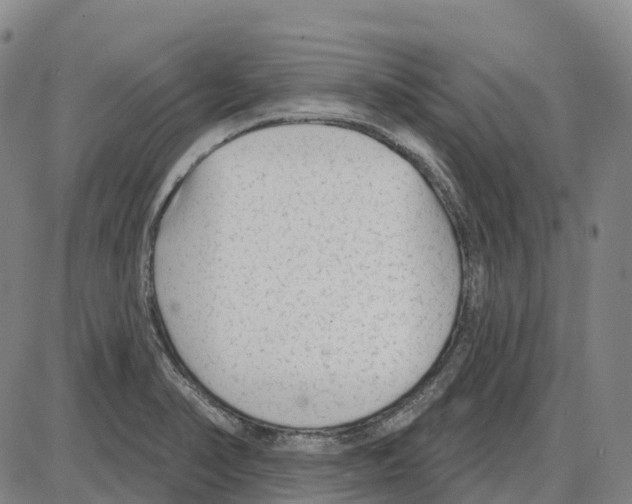 X0000083991374200703161612