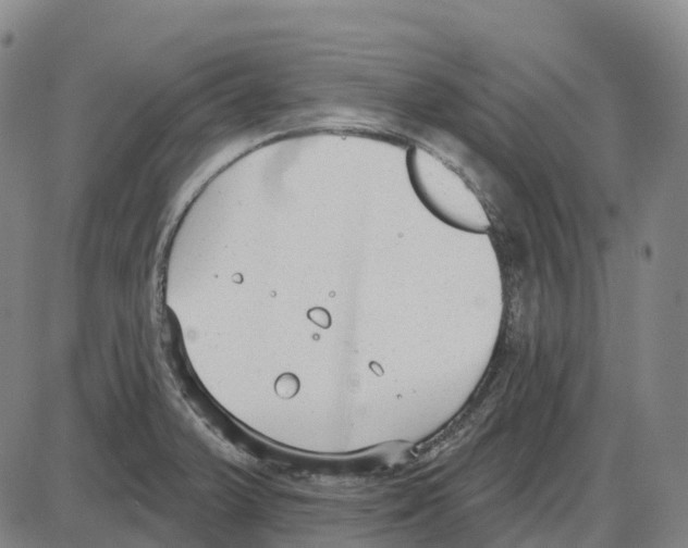 X0000083991375200703161612