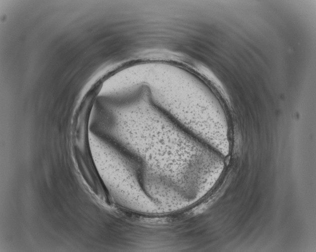 X0000083991376200703161612