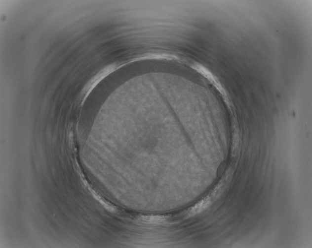 X0000083991377200703161612