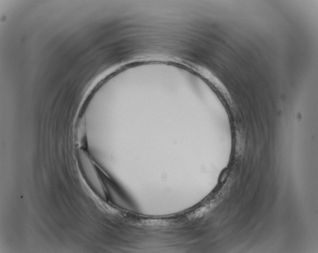 X0000083991380200703161612