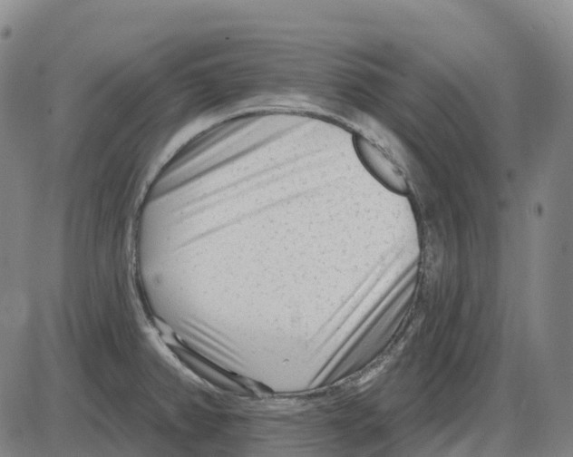 X0000083991382200703161612