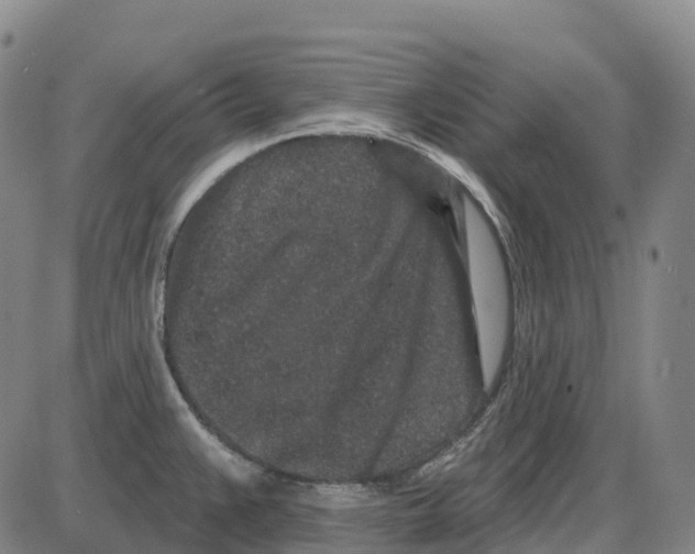 X0000083991383200703161612