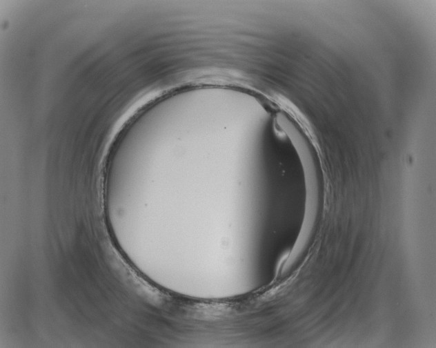 X0000083991384200703161612