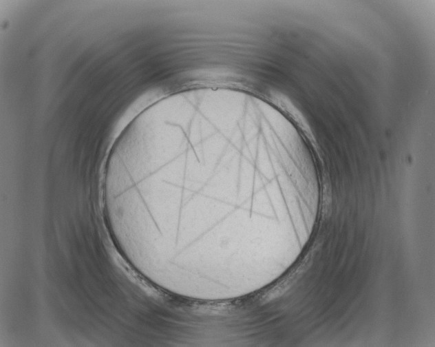 X0000083991386200703161611