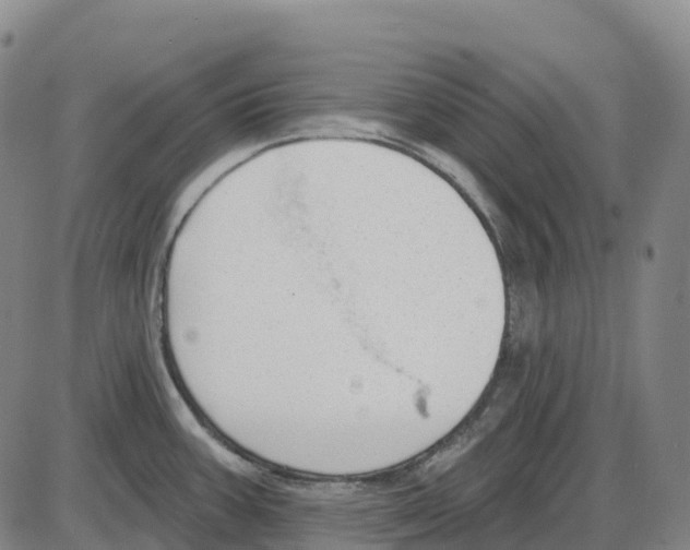 X0000083991387200703161611