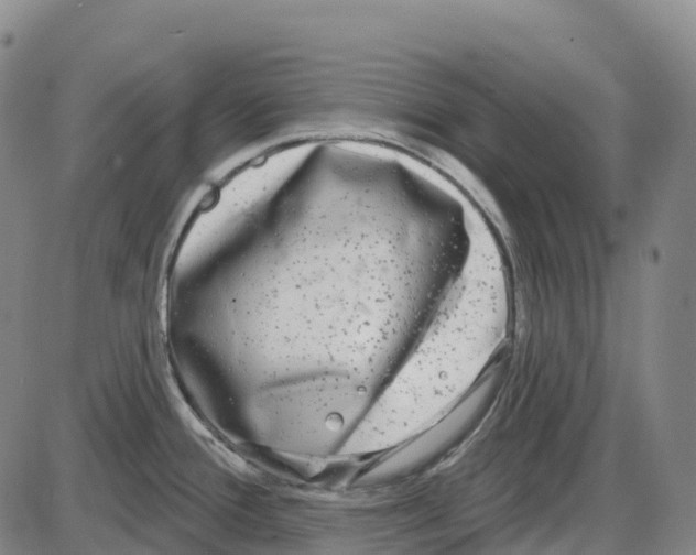 X0000083991388200703161611