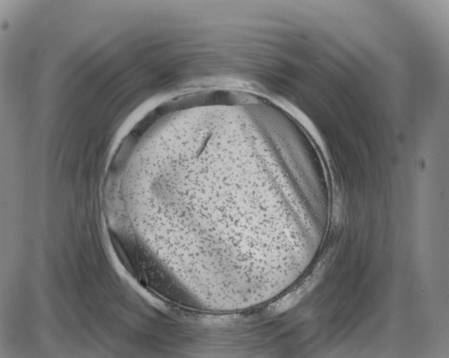 X0000083991389200703161611