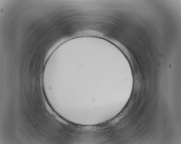 X0000083991390200703161611