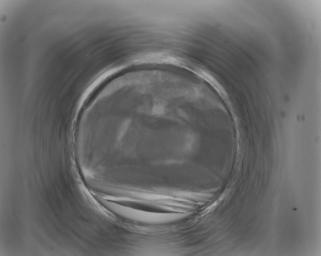 X0000083991392200703161611