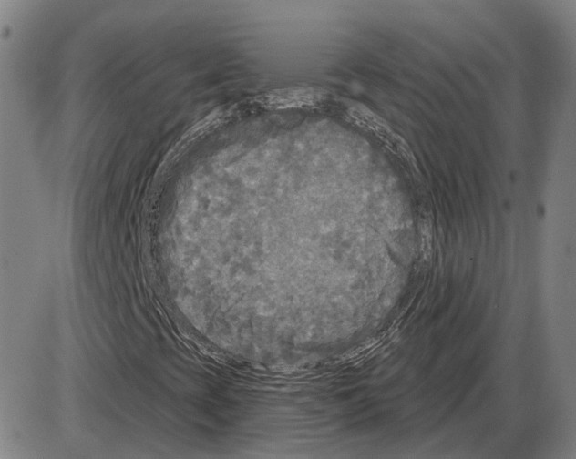 X0000083991393200703161611