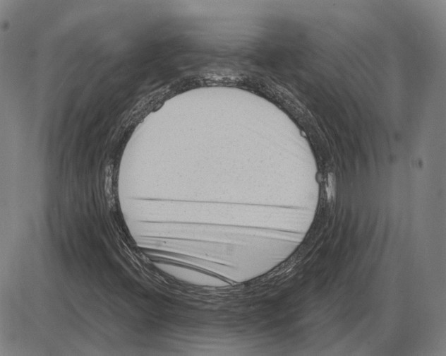 X0000083991396200703161611