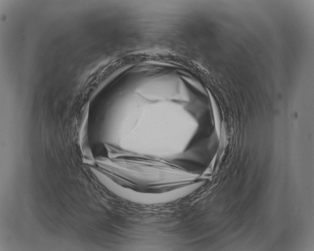 X0000083991398200703161611