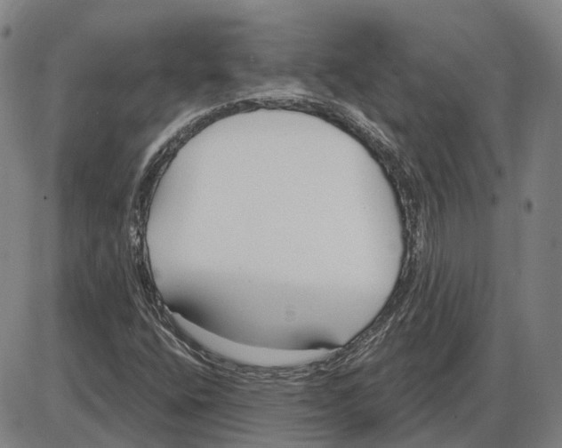 X0000083991400200703161611