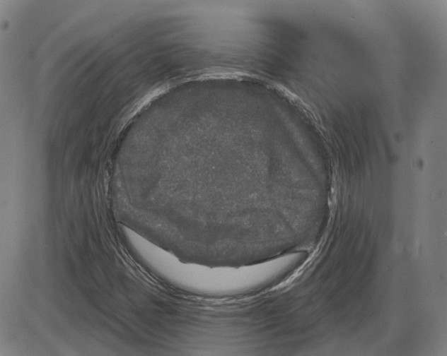 X0000083991401200703161611