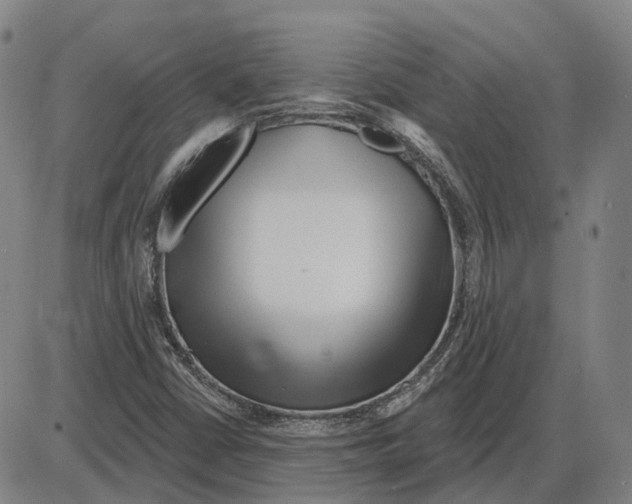 X0000083991402200703161611