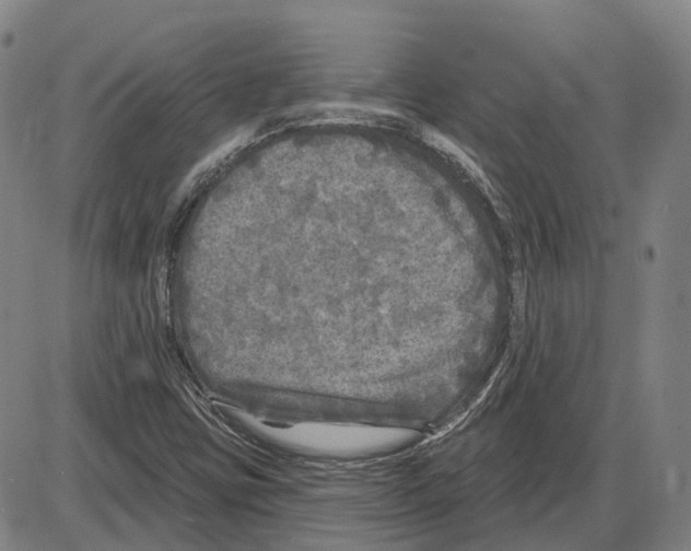 X0000083991403200703161611