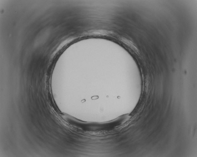 X0000083991404200703161611