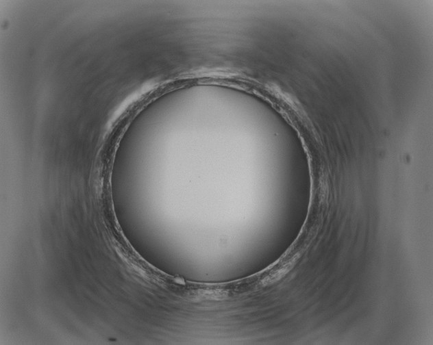 X0000083991406200703161611